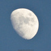 Moon by byrdlip