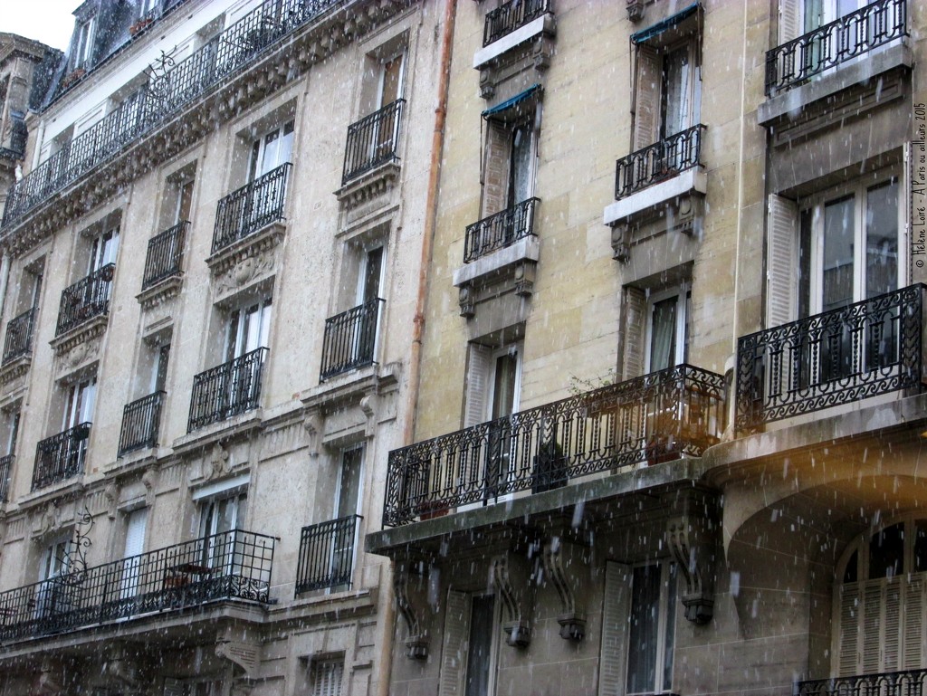 let it snow!  by parisouailleurs