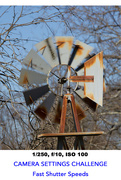 30th Jan 2015 - Windmill 1