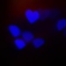 Heart bokeh  attempt by sarahlh