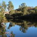 Day 6 - Manning River by terryliv
