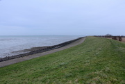31st Jan 2015 - Zeedijk  ( Sea dyke)