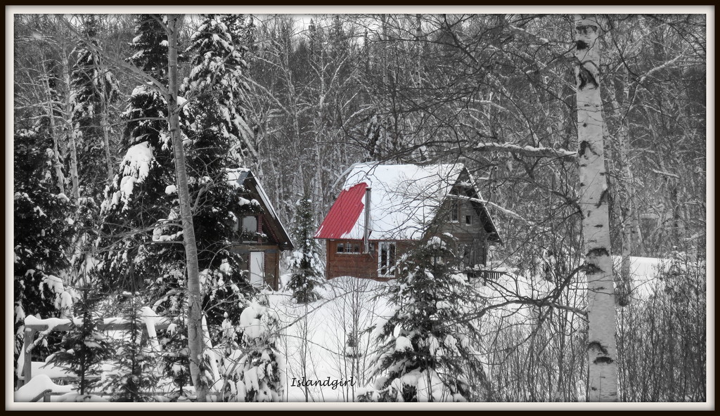 Cabin at the ski hill   by radiogirl