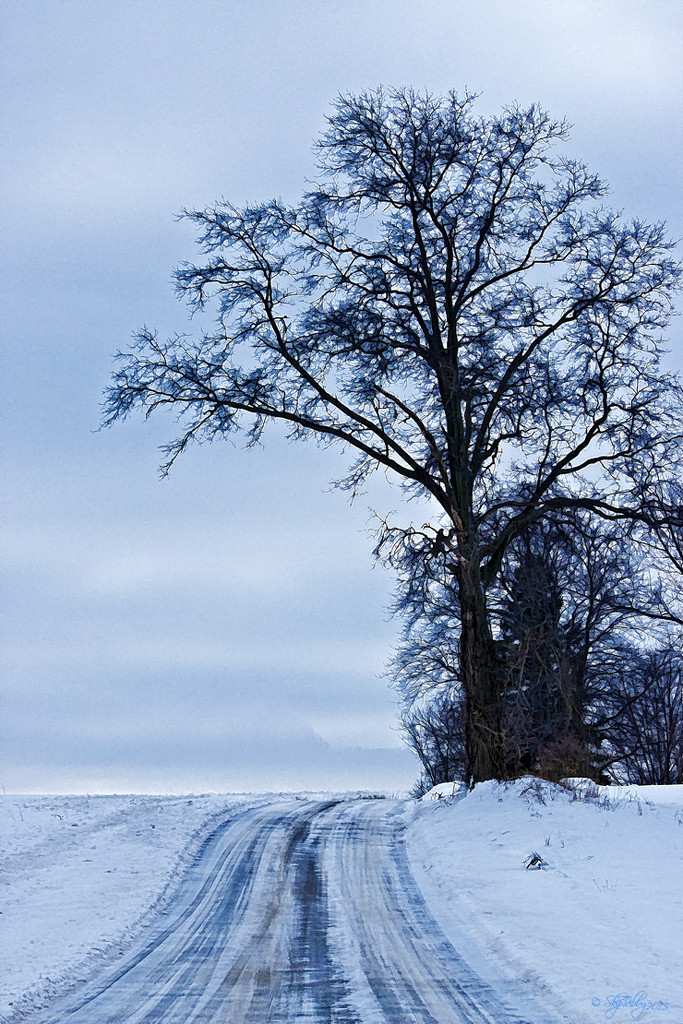 Snowy Road by skipt07