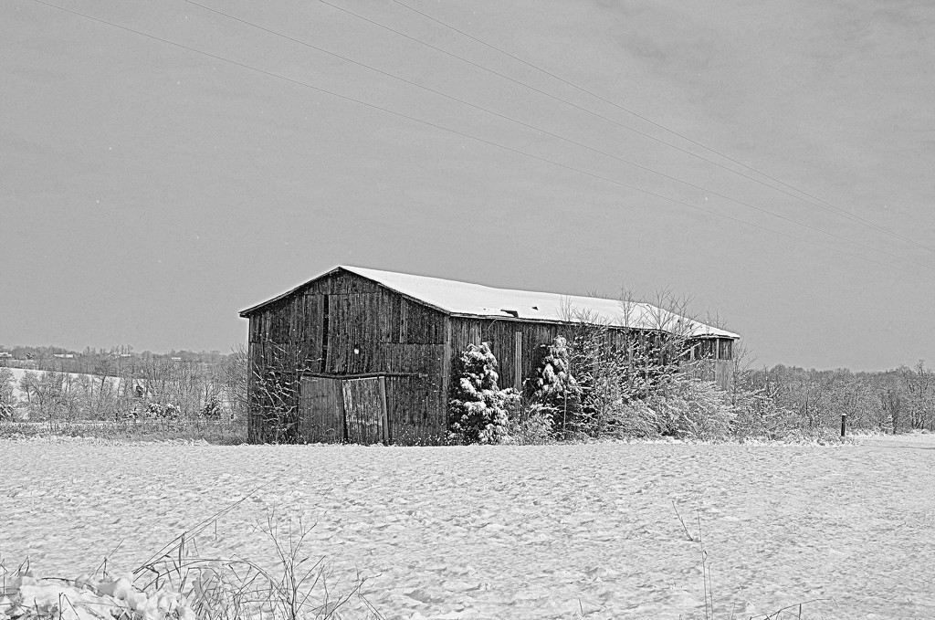 Barn in the snow by cindymc
