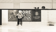 31st Jan 2015 - Skating Lessons