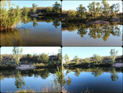 1st Feb 2015 - Day 6 - Manning River