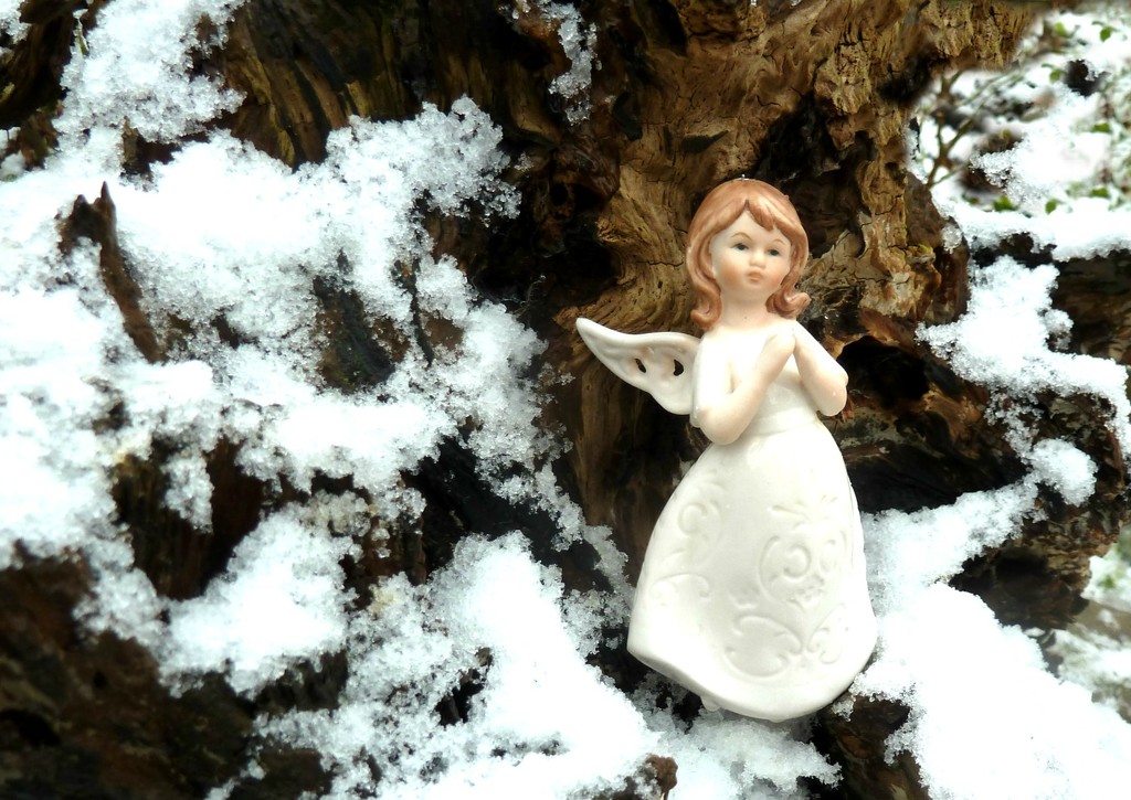 Snow Angel by wendyfrost