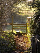1st Feb 2015 - Down the path, over the stile...