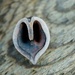 Wooden Heart by kwind