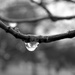 Drip Drop by daisymiller