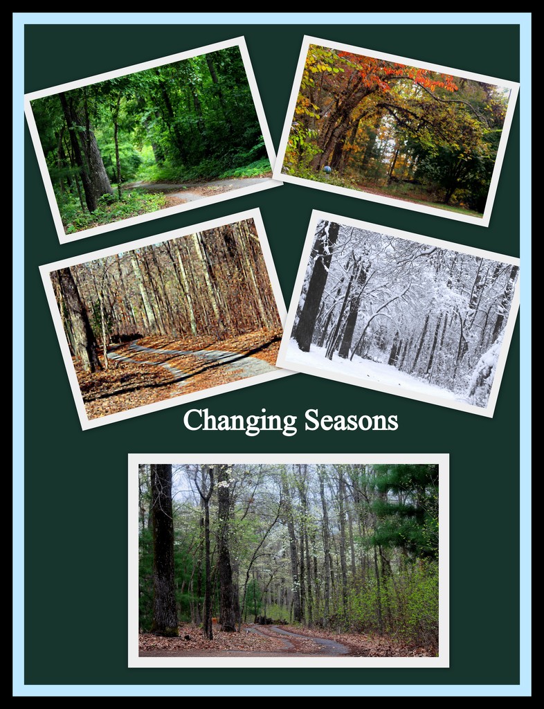 Changing Seasons by vernabeth