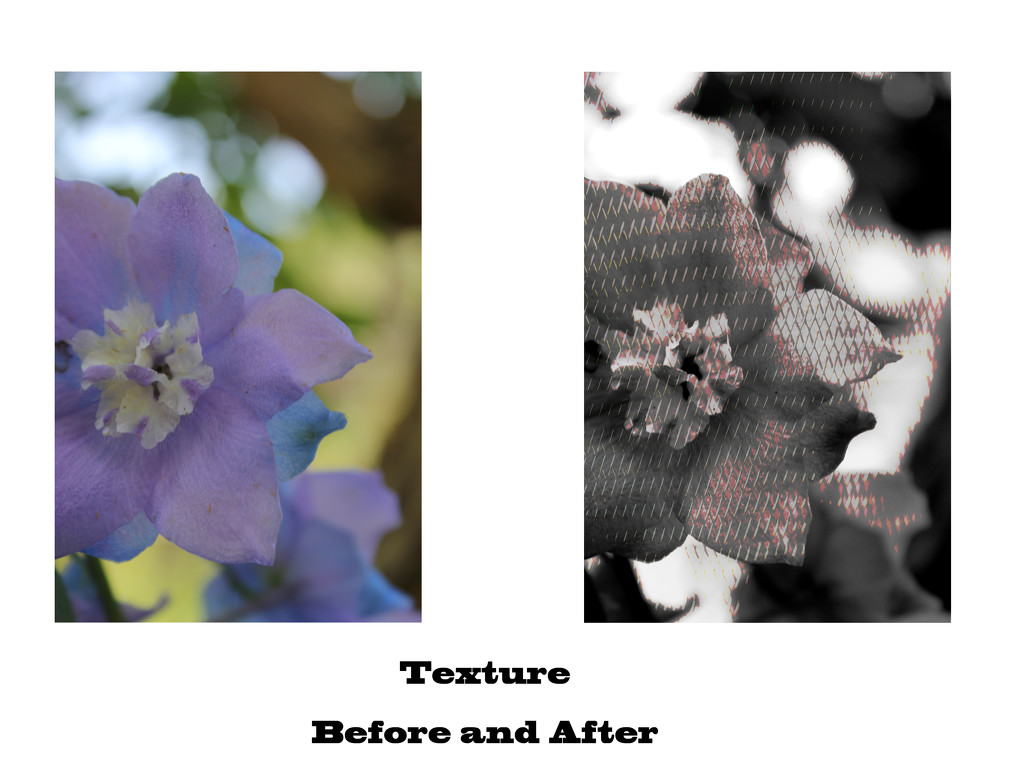 Texture Before &amp; After by randystreat