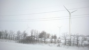 1st Feb 2015 - Camouflaged Windmills