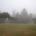 Misty Morning by ingrid01