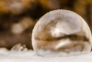 1st Feb 2015 - frozen bubble