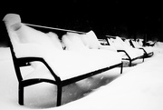 1st Feb 2015 - Benches in the Snow