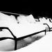 Benches in the Snow by taffy