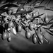 Olives by salza