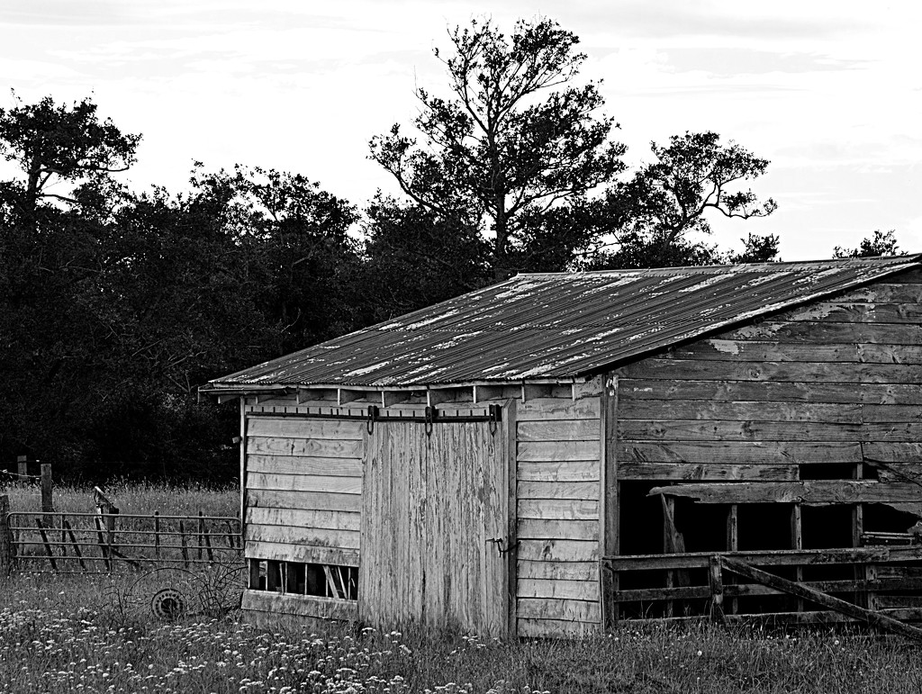 Old Barn by nickspicsnz
