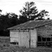 Old Barn by nickspicsnz