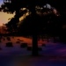Tombstone Sunrise by digitalrn