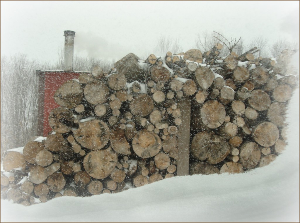 Wood Pile by mcsiegle