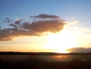 2nd Feb 2015 - Sunset over reedbeds