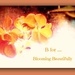Blooming  Beautifully  by beryl