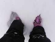 2nd Feb 2015 - The Snow is Deep