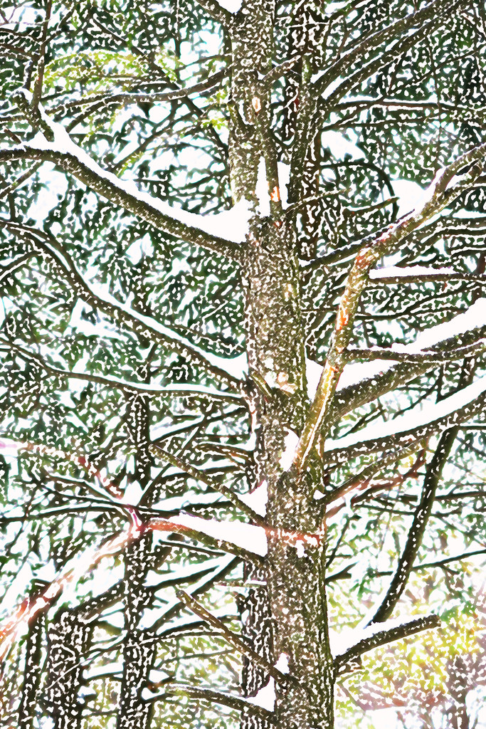 Tree with Snow by april16