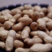 Nuts by nicolaeastwood