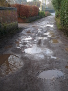 3rd Feb 2015 - Puddles, ruts and a tree