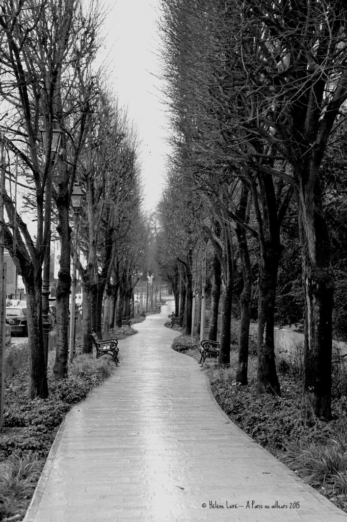 The path by parisouailleurs