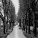 The path by parisouailleurs