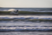 3rd Feb 2015 - The Surfer