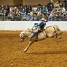Ride 'em Cowboy by lynne5477
