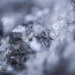 Snowflakes by ragnhildmorland