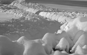 2nd Feb 2015 - Snow: Digging Out