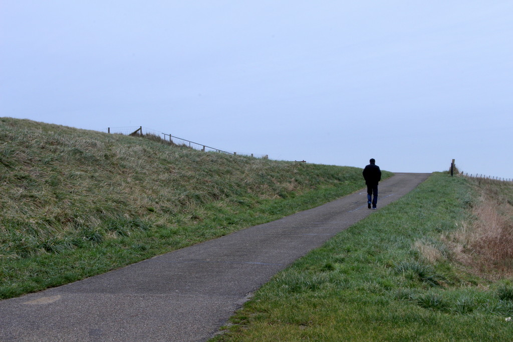 Lonely walker by pyrrhula