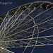 The Big Wheel by tonygig