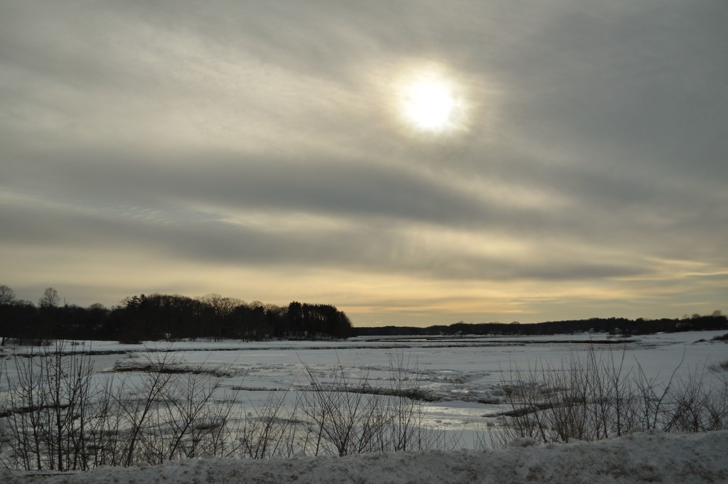 Afternoon at the frozen marsh by dianen