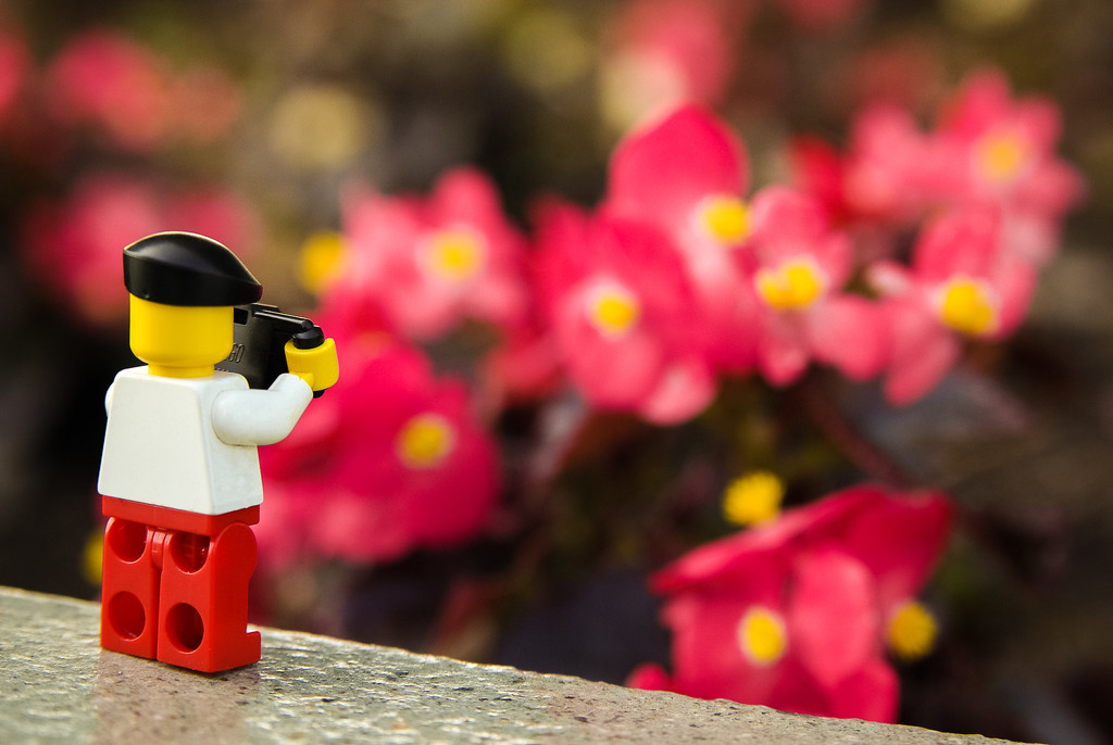 (Day 355) - Smell the Flowers by cjphoto