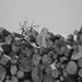 Woodpile in Black and White by mcsiegle