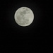 Full moon, bright moon! by homeschoolmom