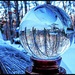 Winter in My Crystal Ball by olivetreeann