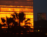 31st Jan 2015 - Building on Fire