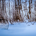 winter still life by jackies365