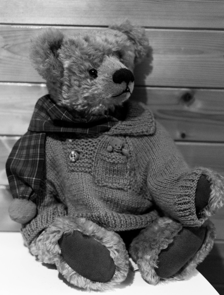 Ted is dressed for Winter by susie1205
