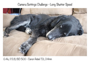 4th Feb 2015 - Camera Settings Challenge - Long Shutter Speed